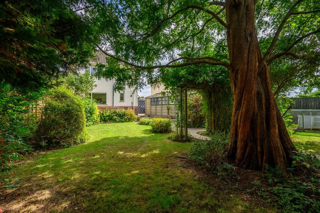 Merritt Estates. A lush backyard with a large, old tree on the right, shaded grass, bushes, and a house in the background.
