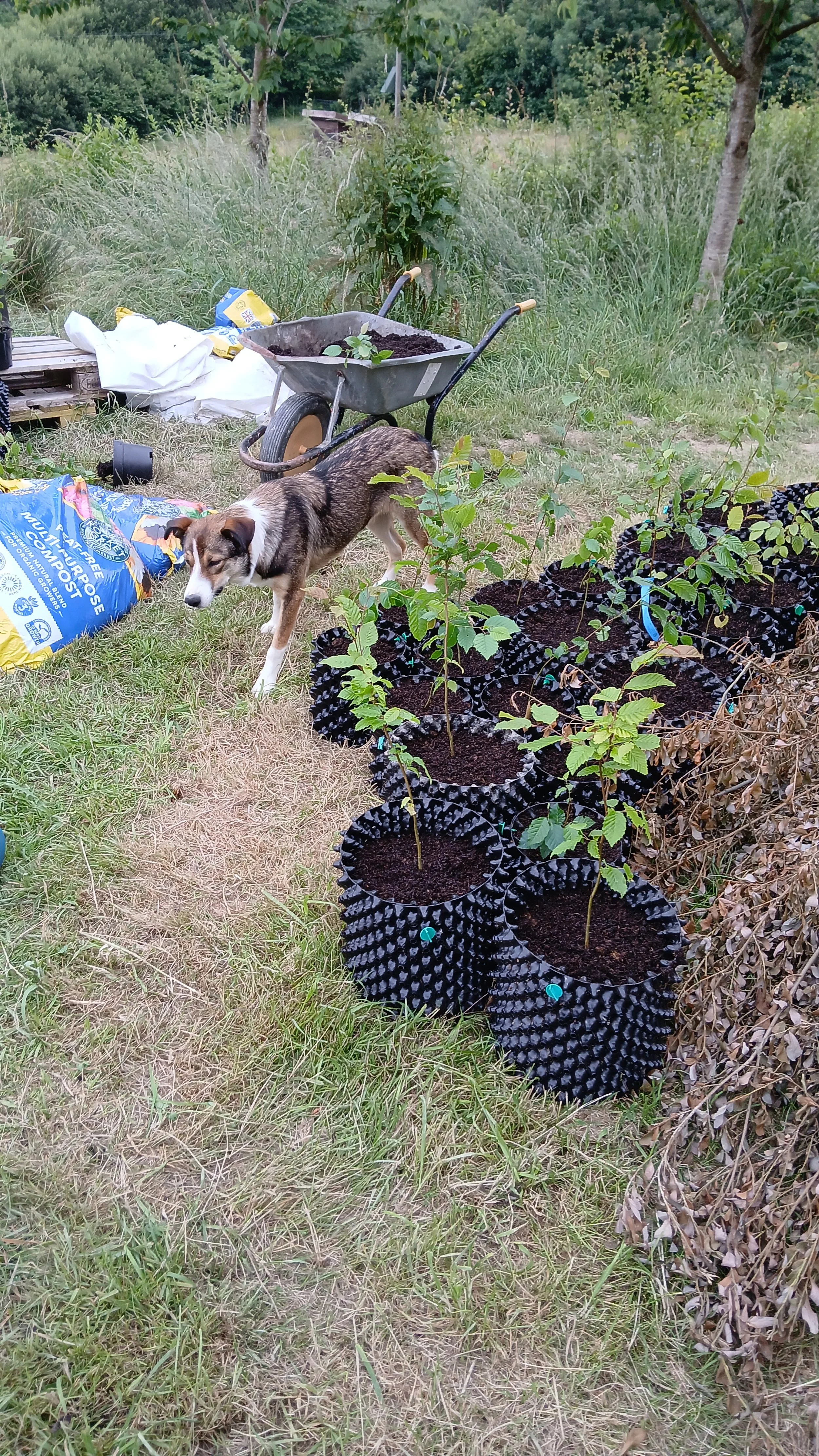 IMG-20250617-WA0014.jpeg