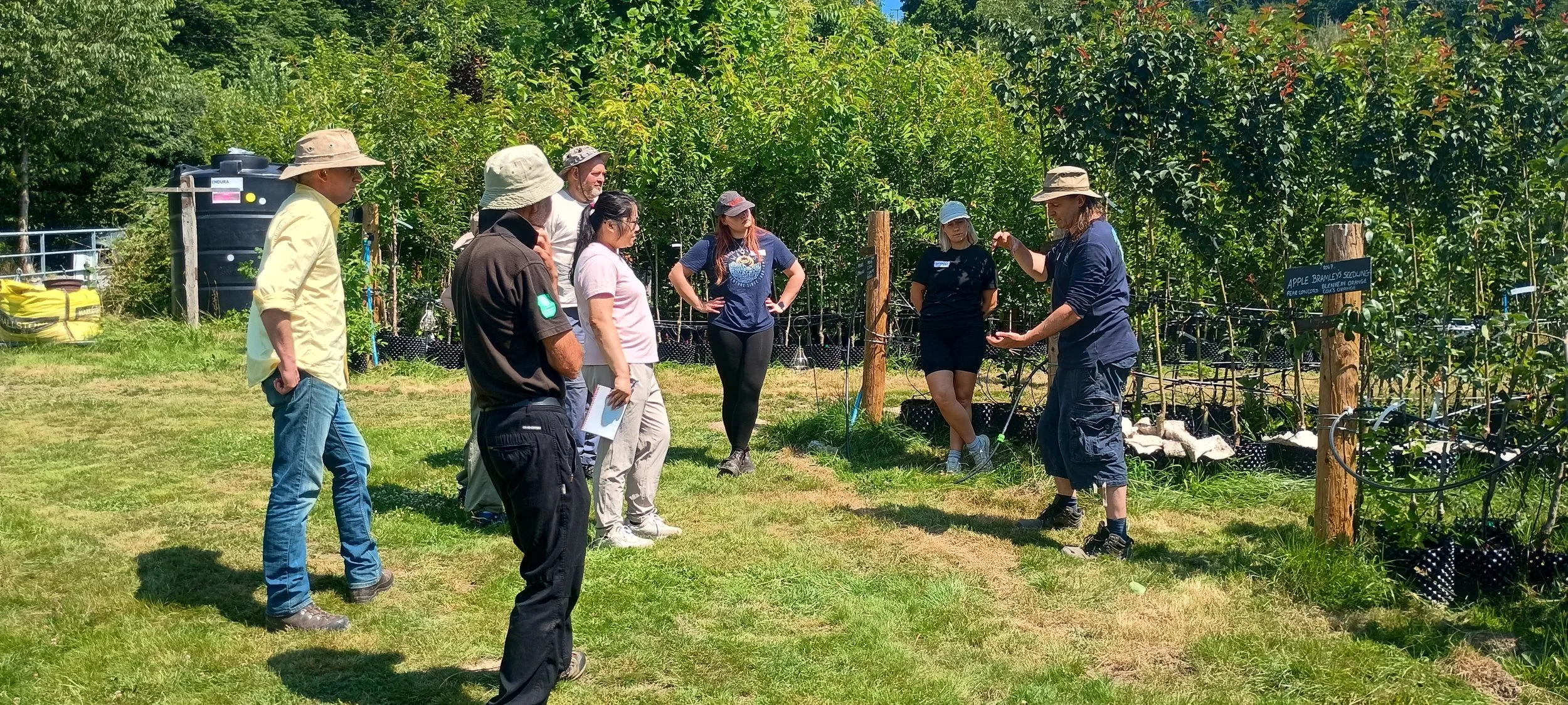 IMG_20260708_113119015_HDR.jpg