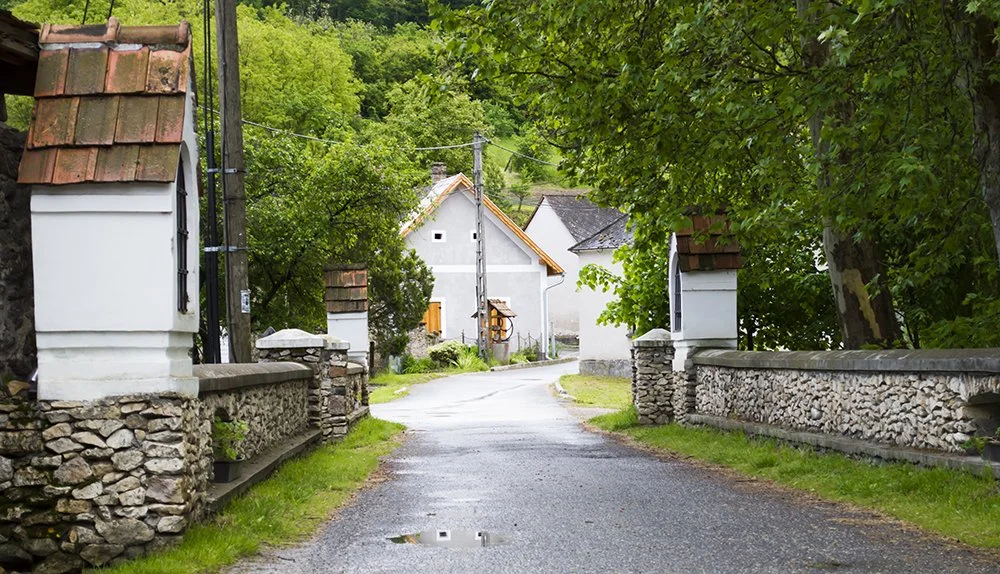 Kiállítás-színház