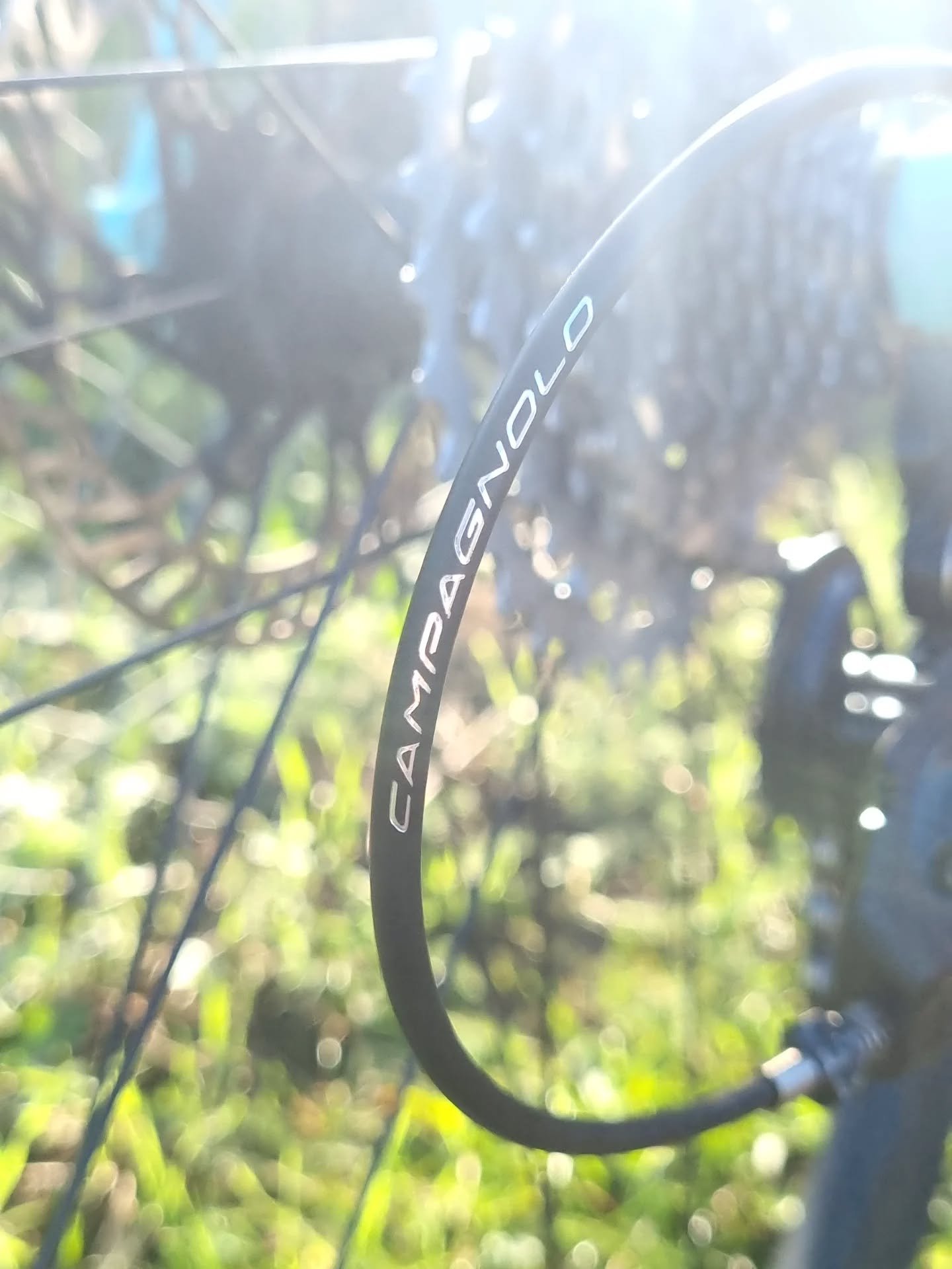 Modern classic from @condorcycles @columbus_official @campagnolosrl @pirelli_cycling
#acciaio #steelisreal #italy