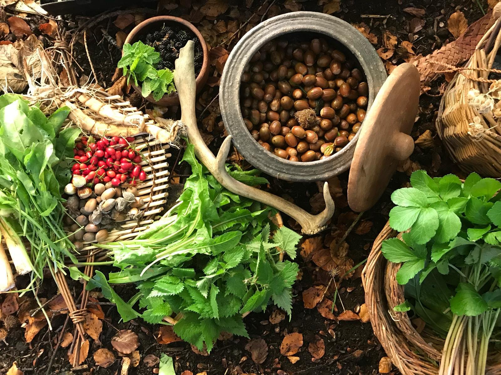 Síolta Voices: Food as Medicine with Lucy O'Hagan