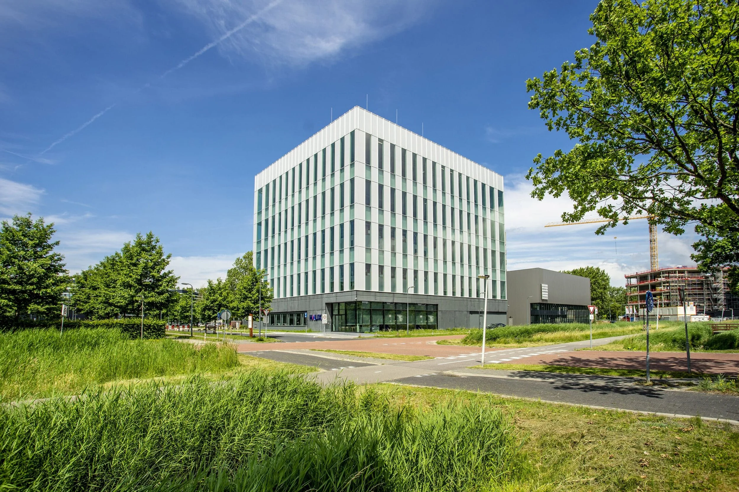 The Halix Dossier: A Strategic Reconstruction of the Omtzigt-Rutte Vaccine Diplomacy