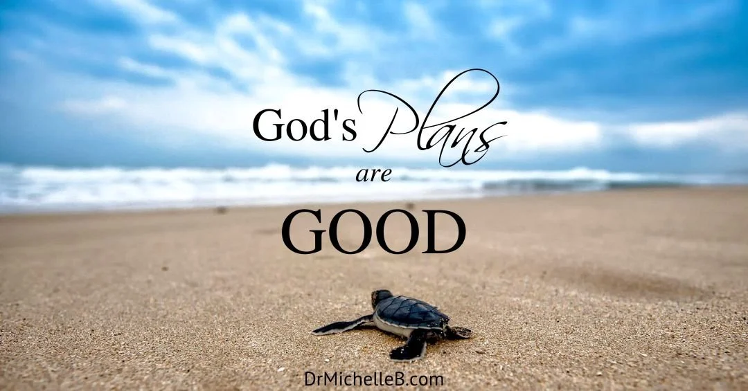 The Teleological Imperative: An Exhaustive Analysis of Divine Providence and the Rhetoric of Order