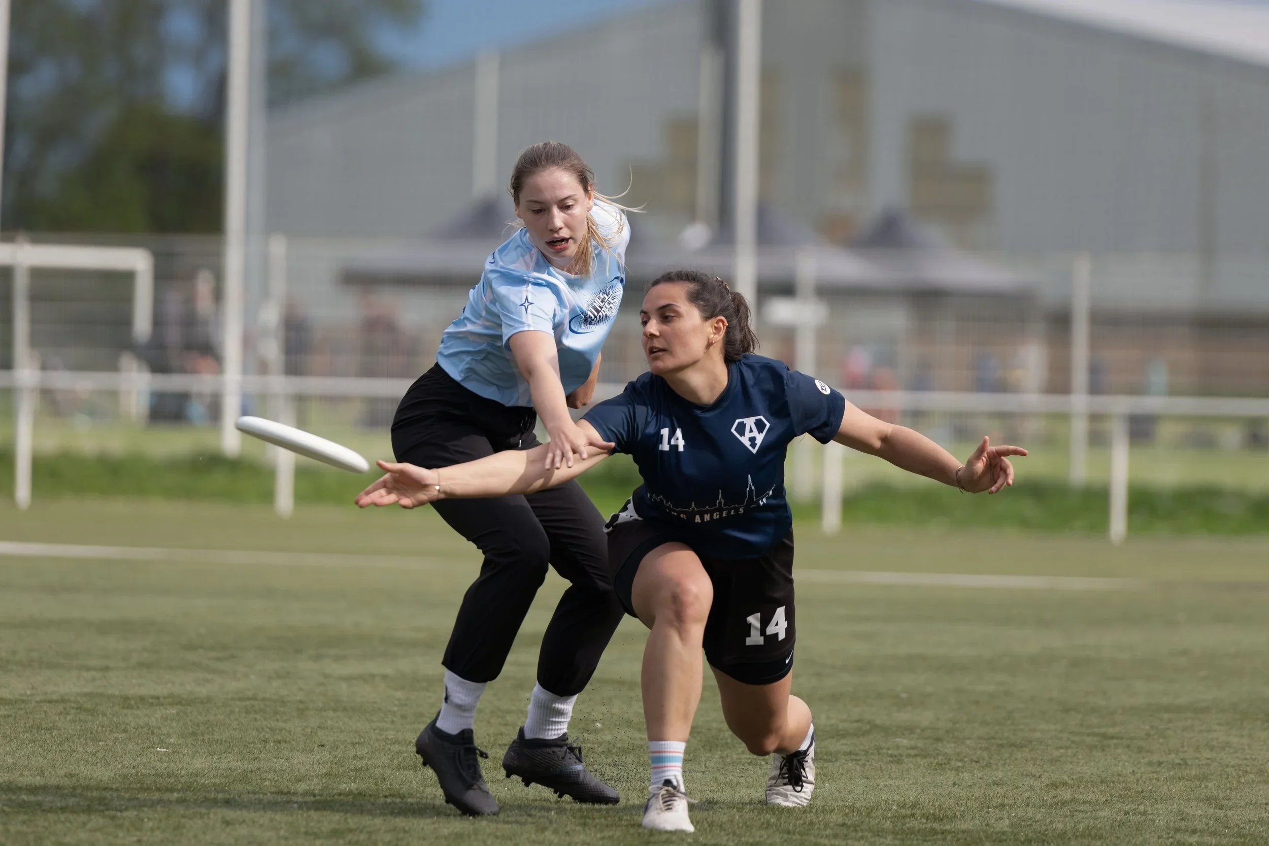 Spring Tour #1 - Preview