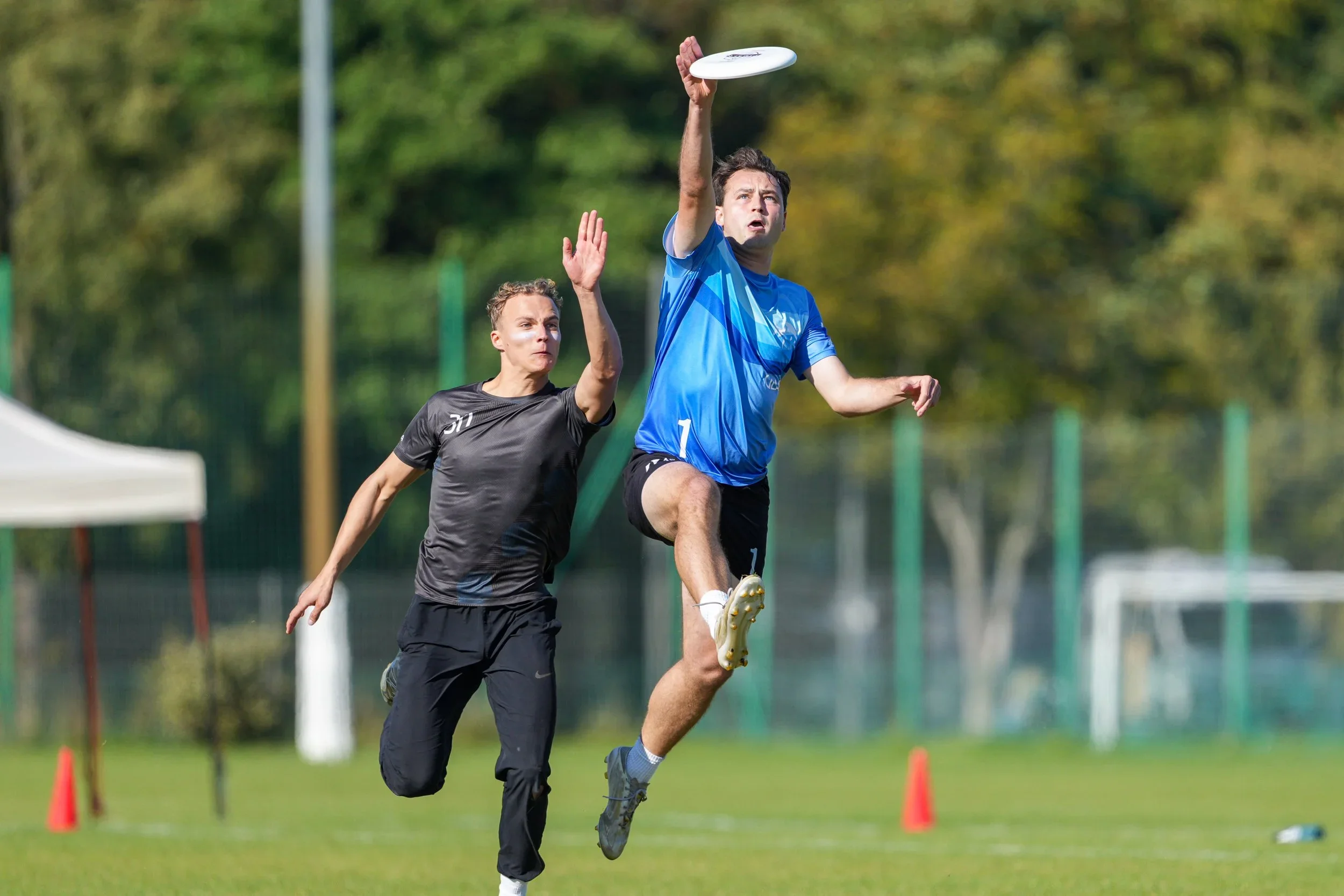 Spring Tour #2 - Preview