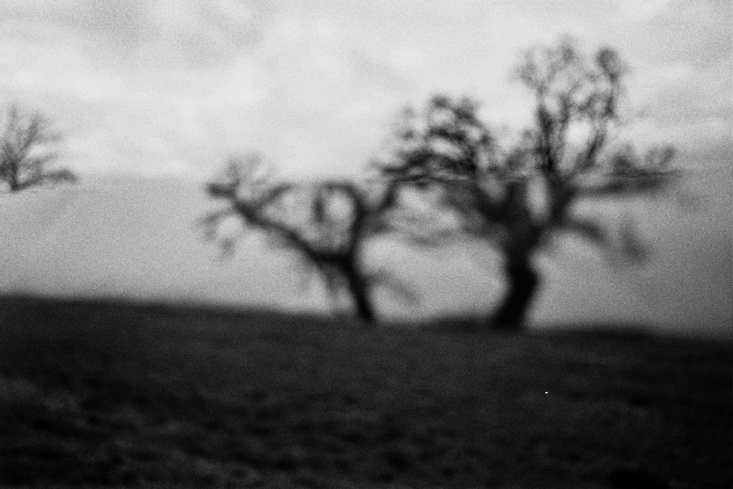 ---_0074.jpg