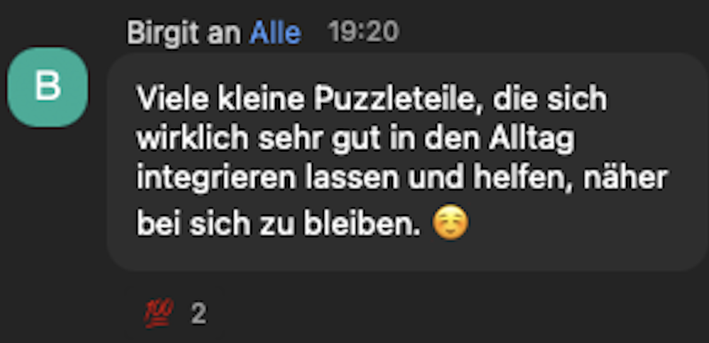 Feedback SelfHealer Journey Birgit in Session i.png