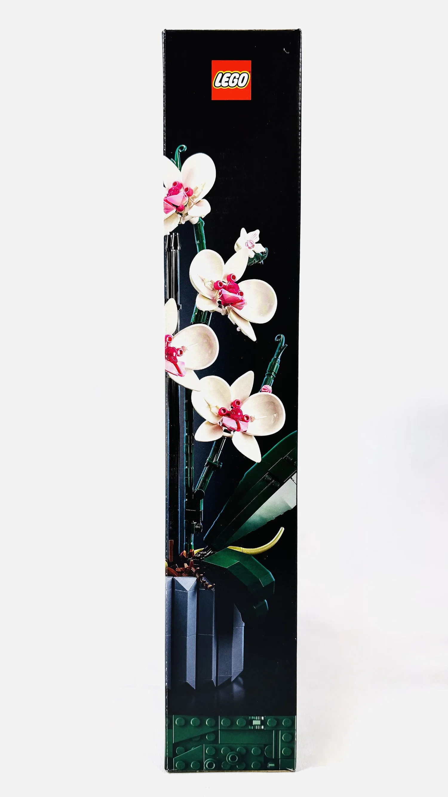 LEGO Icons Botanical Collection Orchid Set (10311) | Kuso Oishii