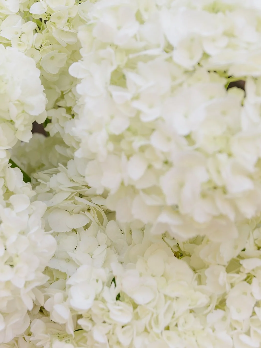 Part of the story.

#wedding #weddingphotography #weddingphotographer #storytelling