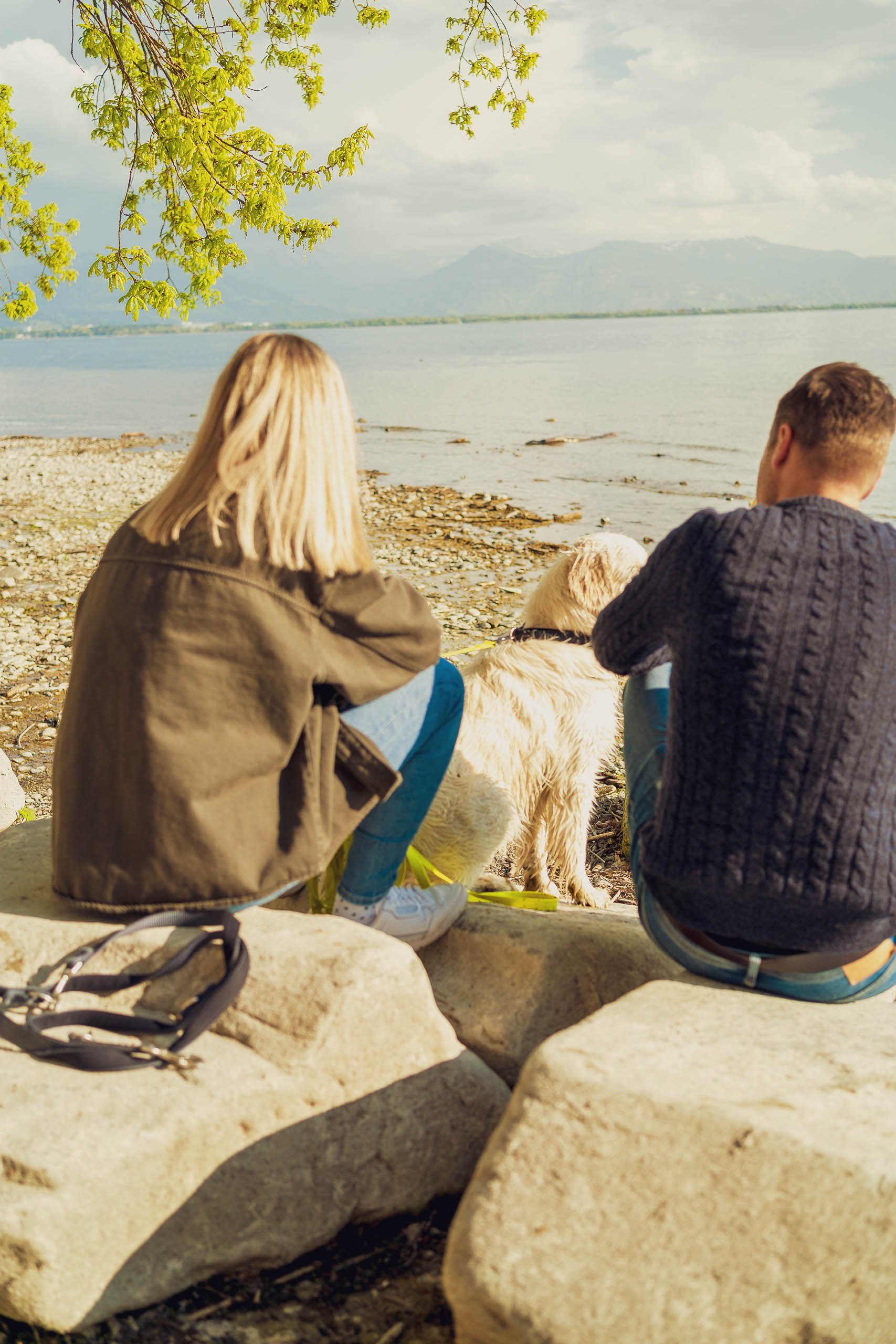 Auch Hunde genießen den Urlaub am Bodensee und  im YachtHotel und Wellnesshotel Helvetia in Lindau am Bodensee