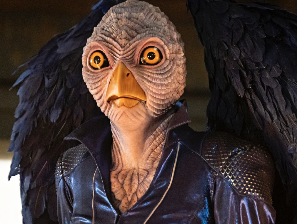 Screenshot 2026-03-11 at 9.50.26 PM.png