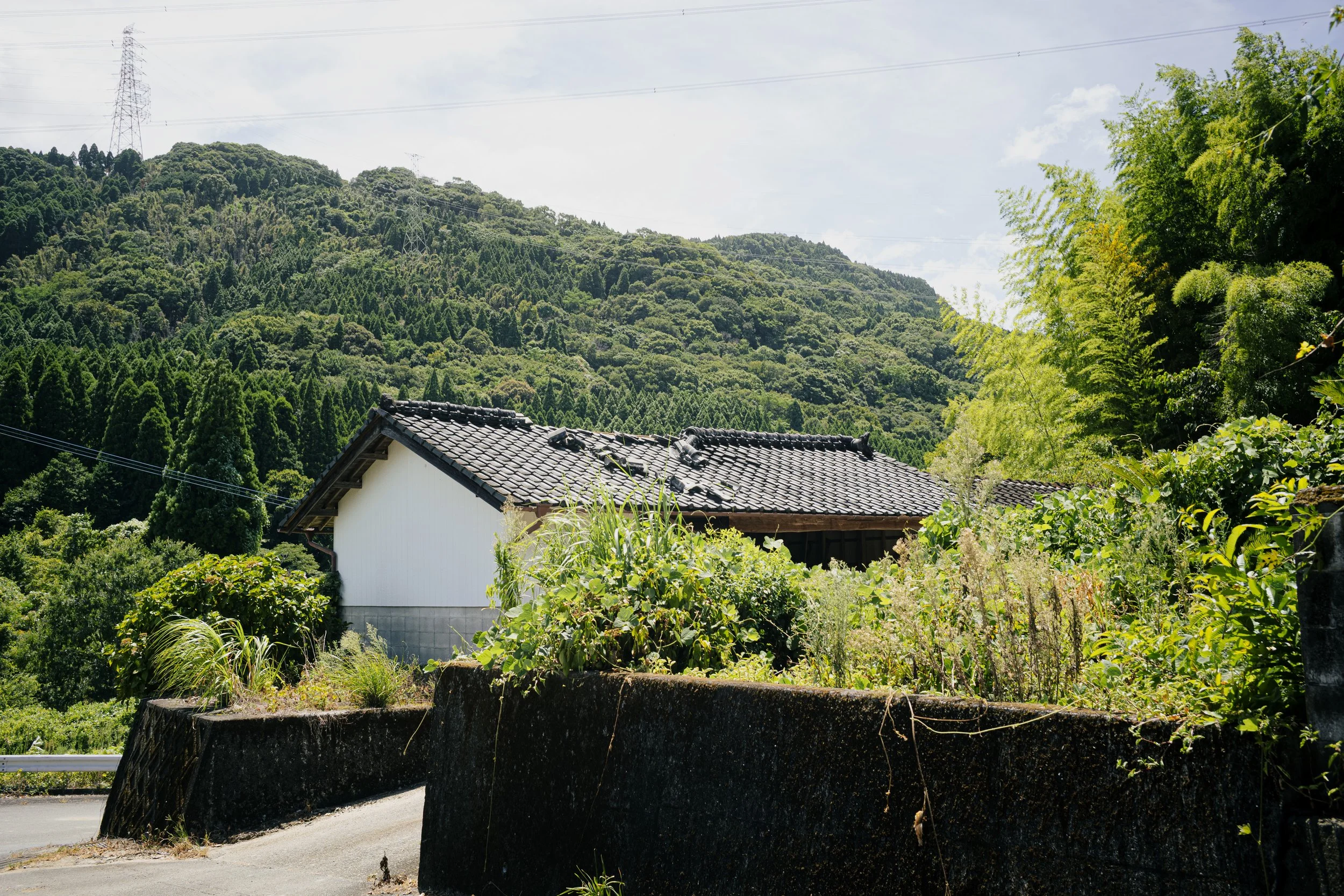 L1009230.jpg