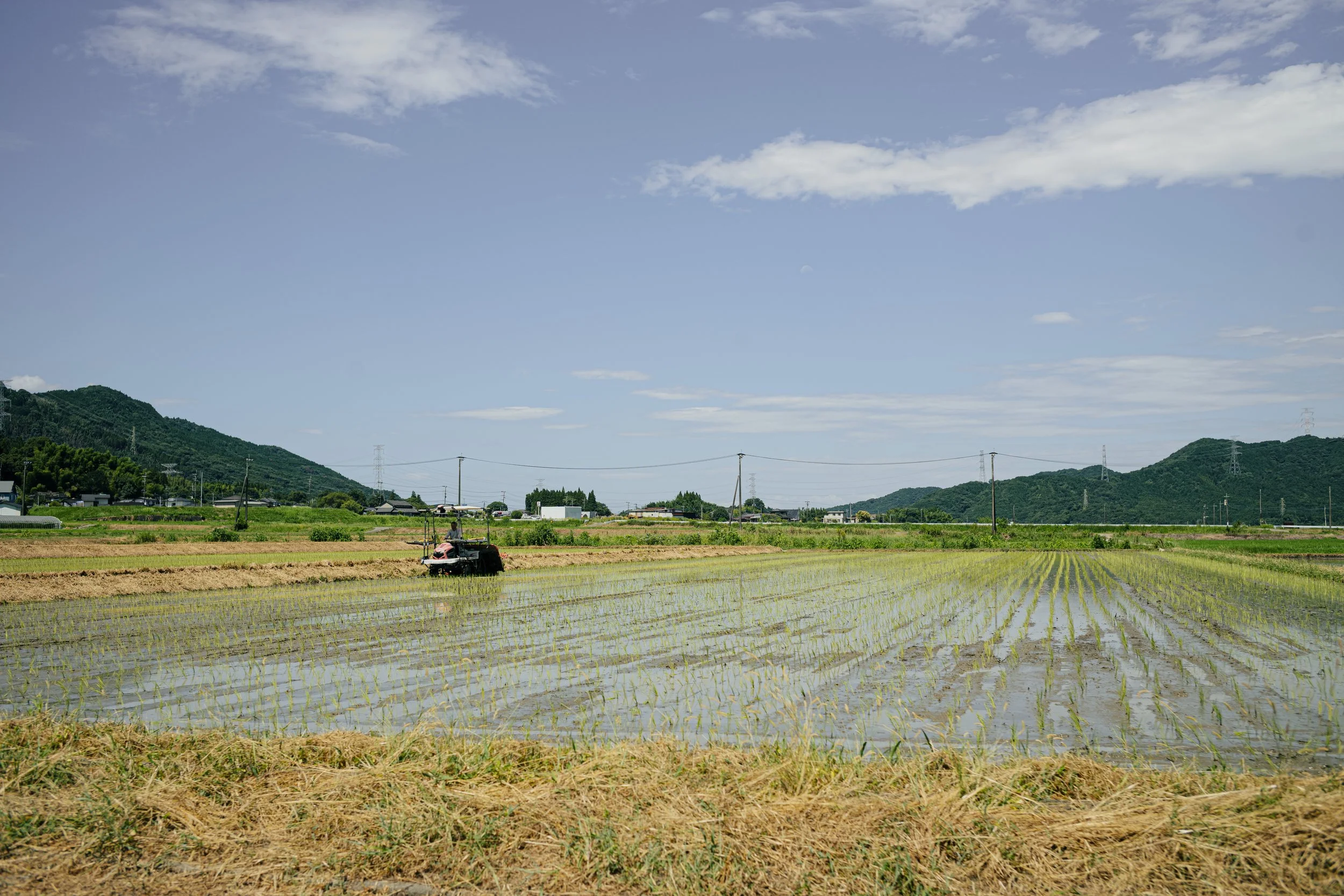 L1009218.jpg
