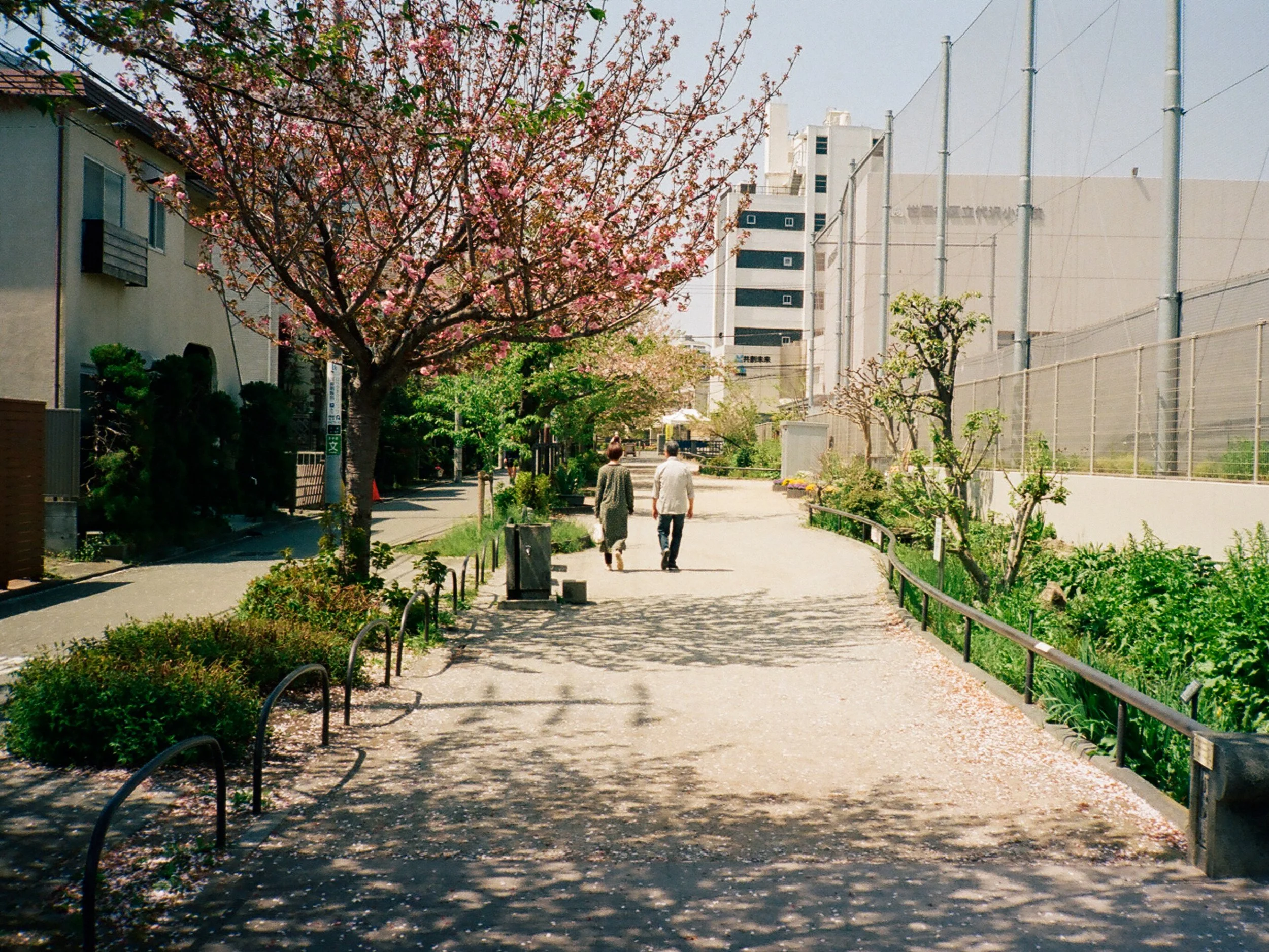 82780027.jpg