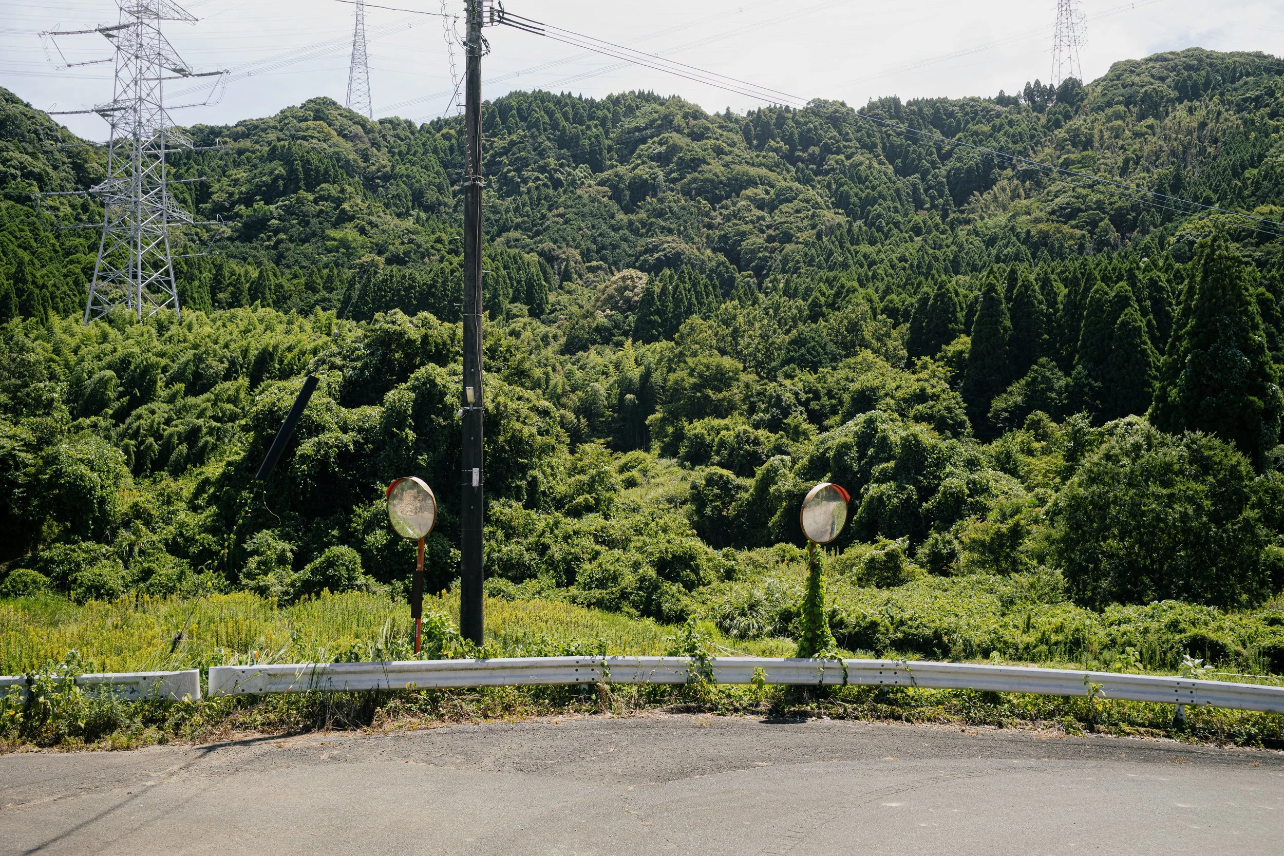 L1009232.jpg