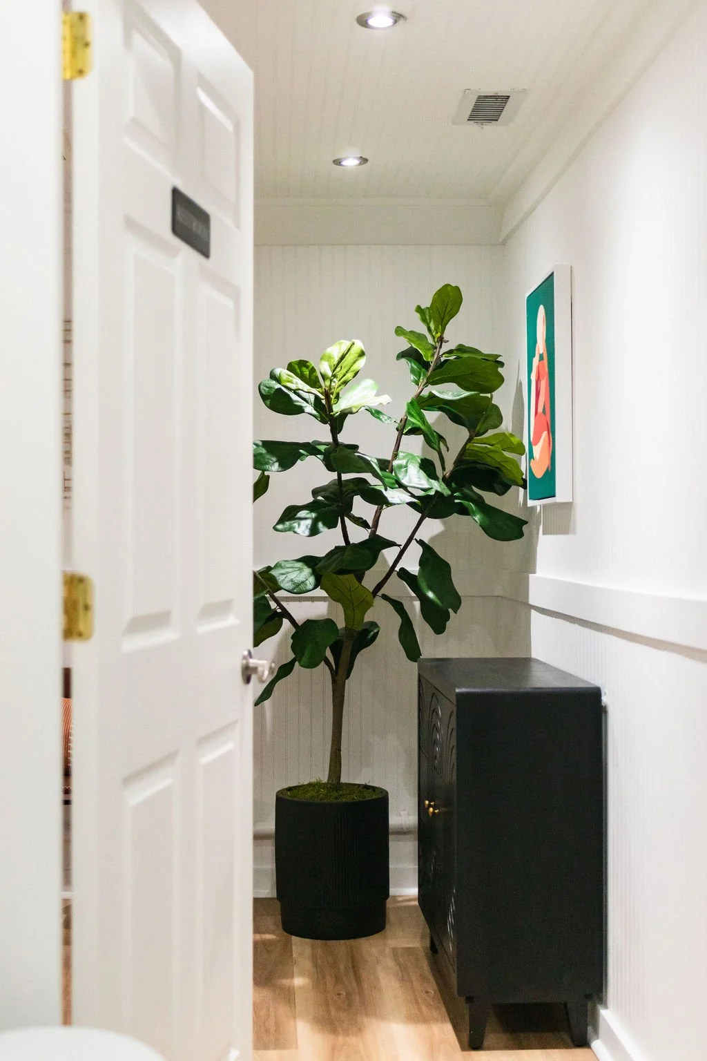 A tall potted green plant with broad leaves placed in a black pot is beside a black cabinet in a hallway with white walls, ceiling, and light wooden flooring, and a colorful framed artwork on the wall.
