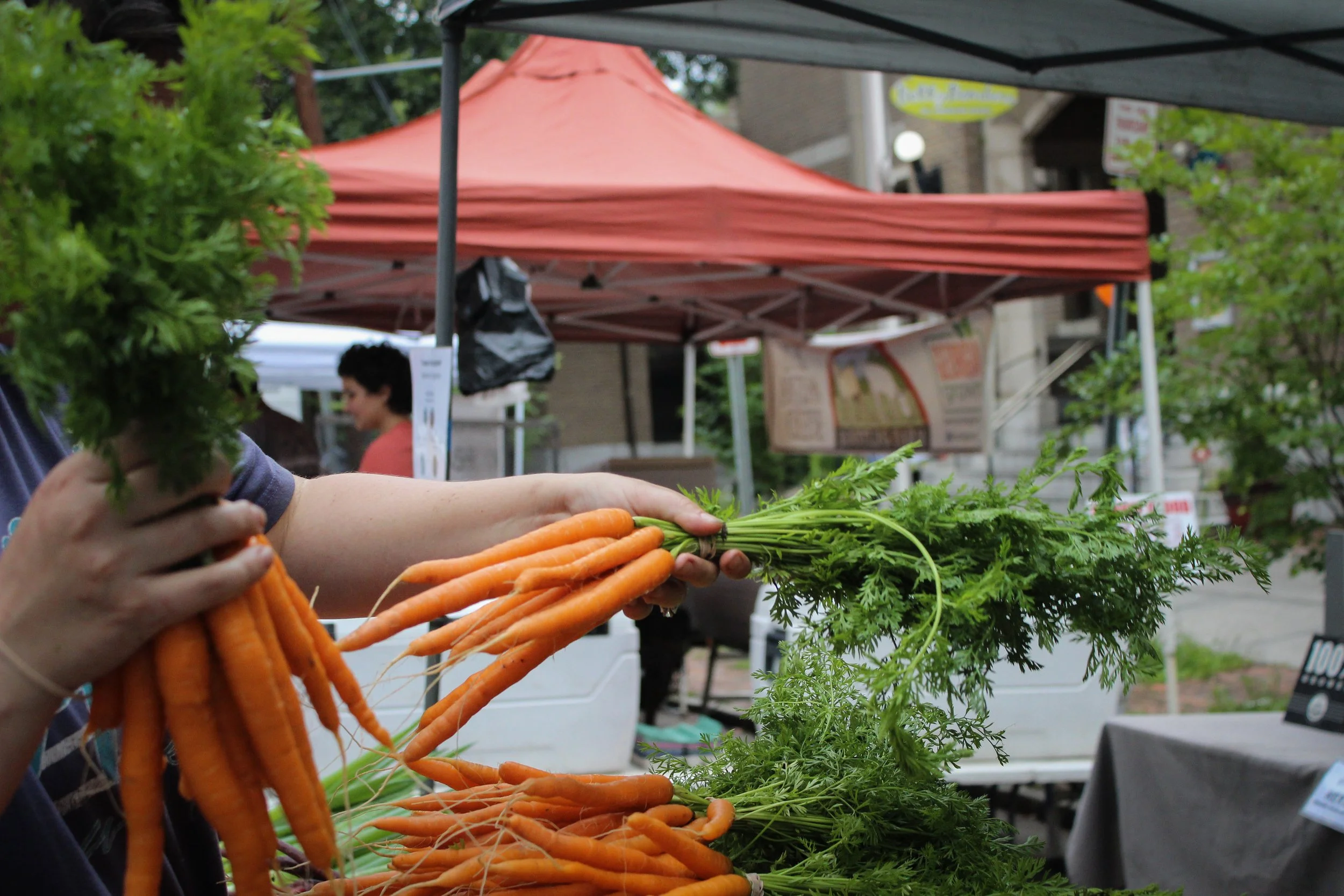 Spring carrots available for purchase at the Forsyth Farmers' Market  Saturday Market.