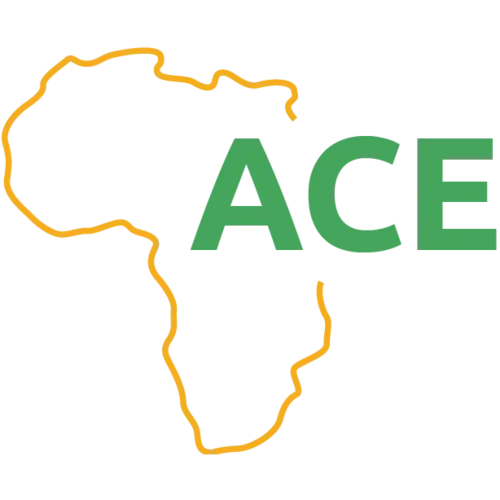 ACE Festival Performance