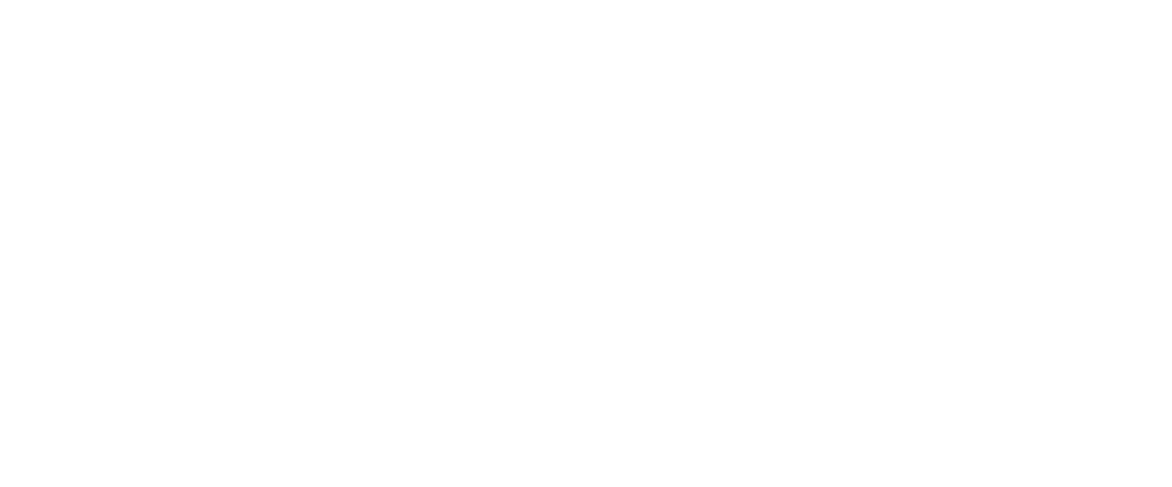 FERANA BRAND VETTORIALE.png