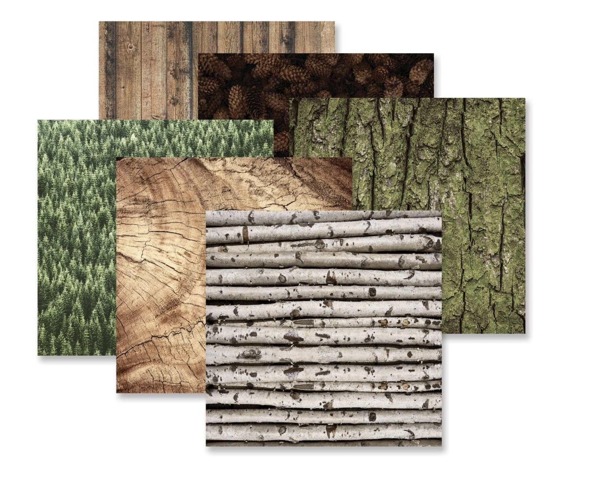 Deeper In The Woods TEXTURE Paper Pack (12/pk)