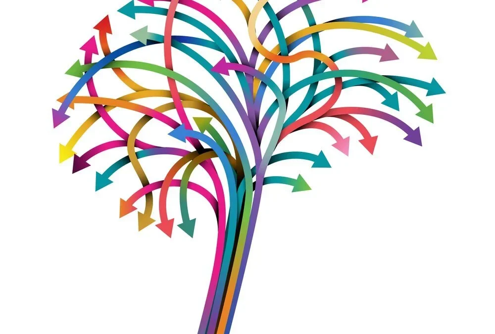 THE NEUROBIOLOGY OF THE AGE OLD QUESTION "WHY HORSES?"