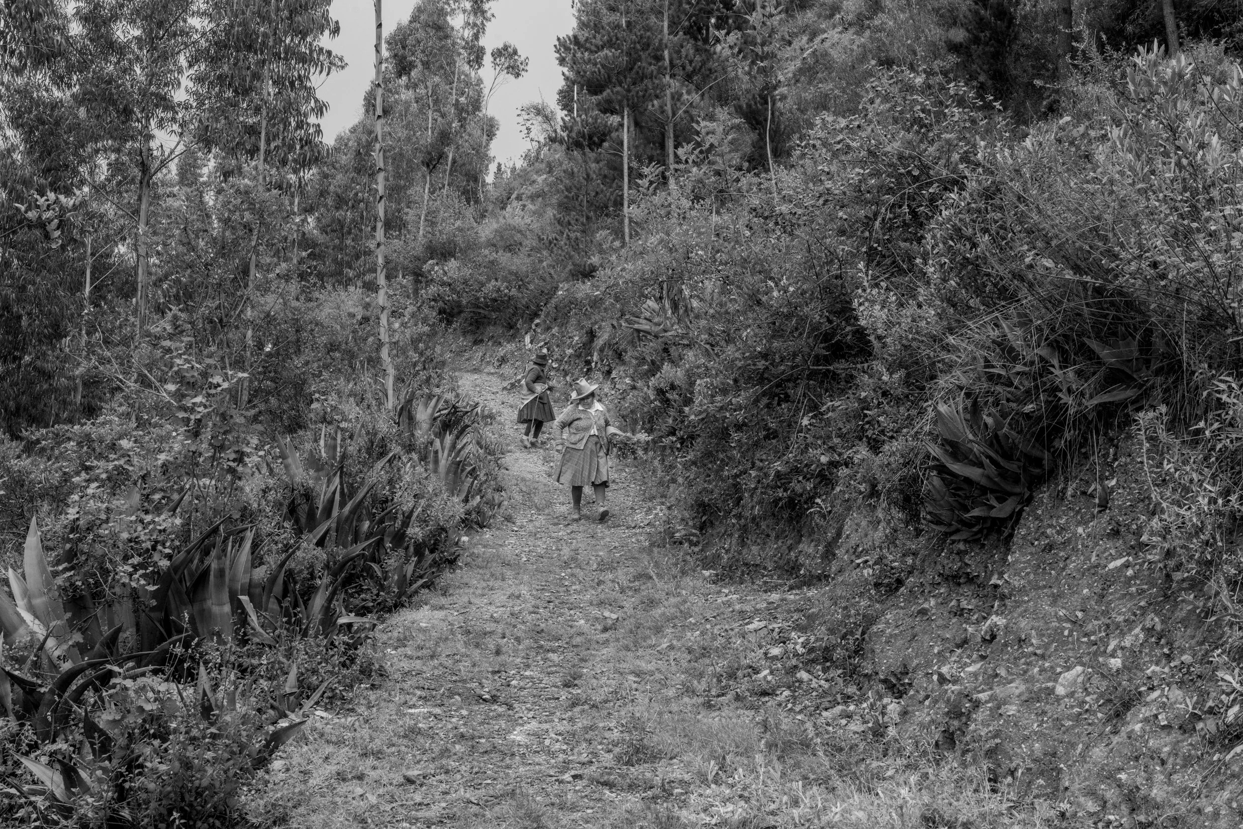 @michelphoto69_Peru_Chavin de_Huantar_Cruces-050.jpeg
