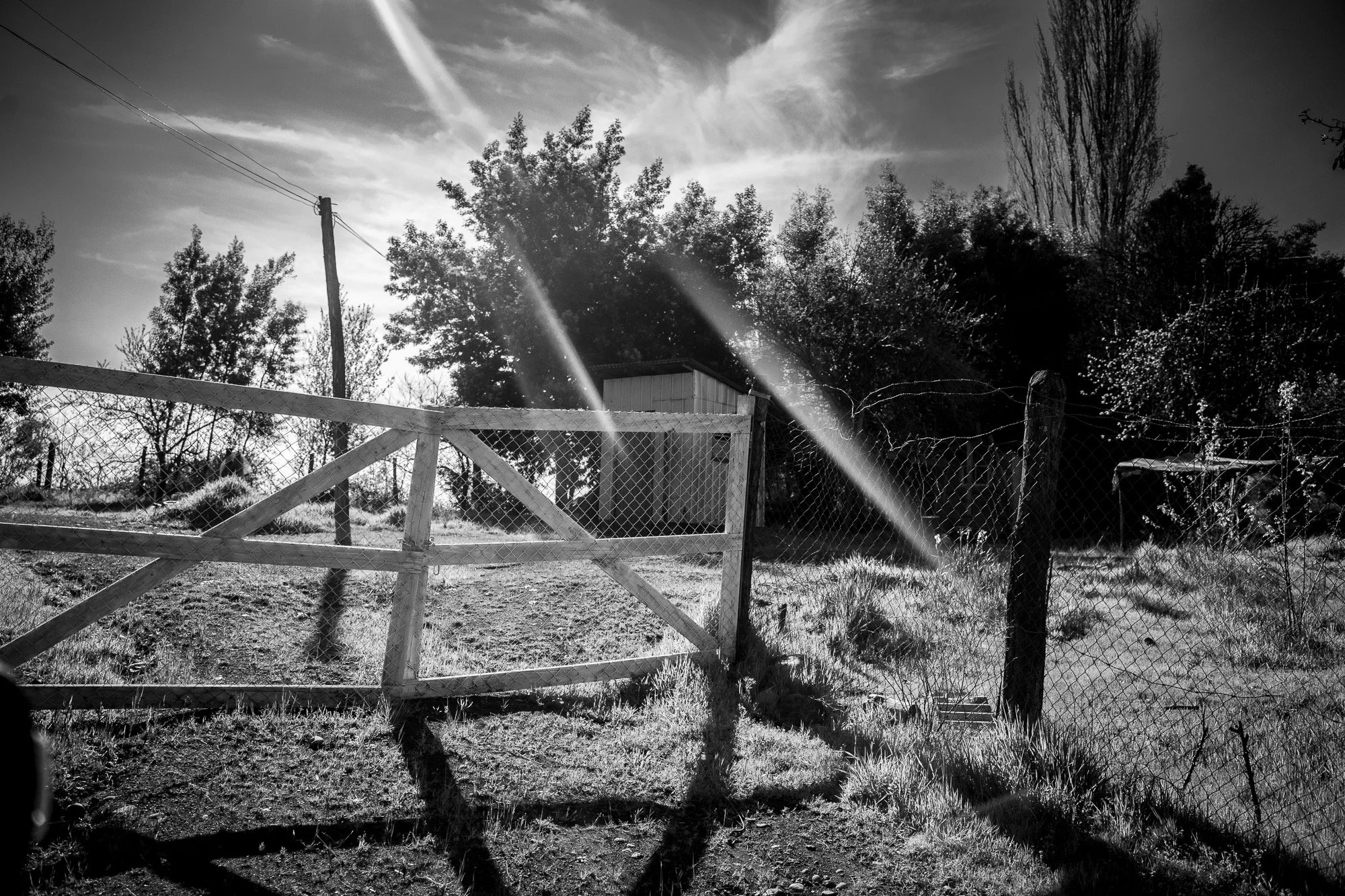 DSC03105.jpeg