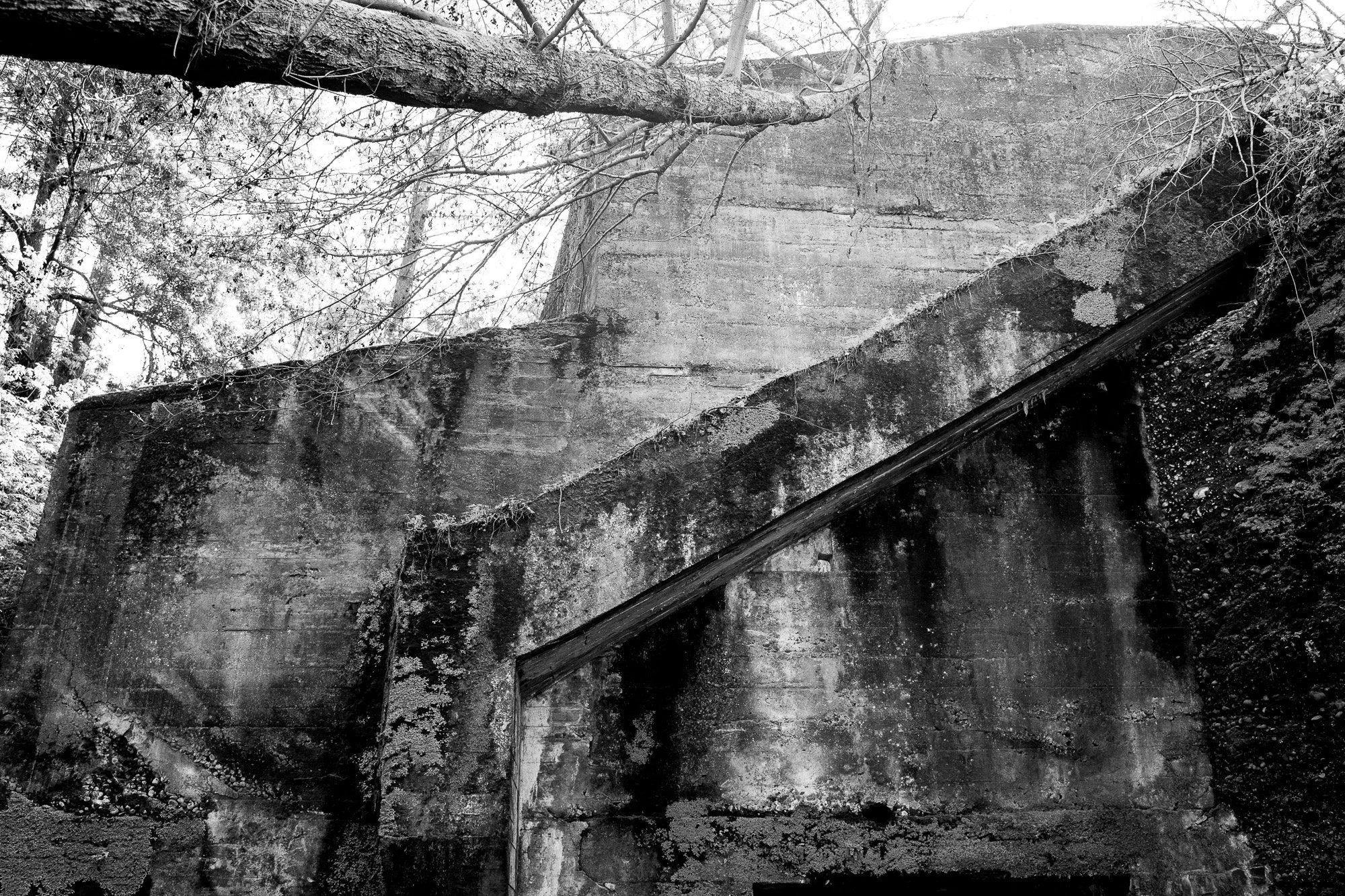 DSC03020.jpeg