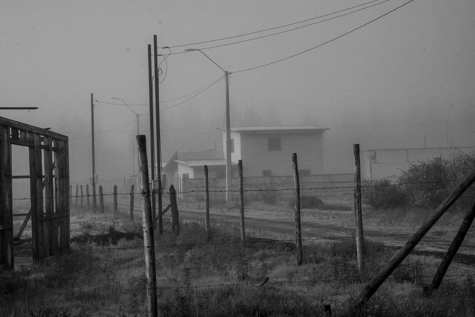 DSC01497.jpeg