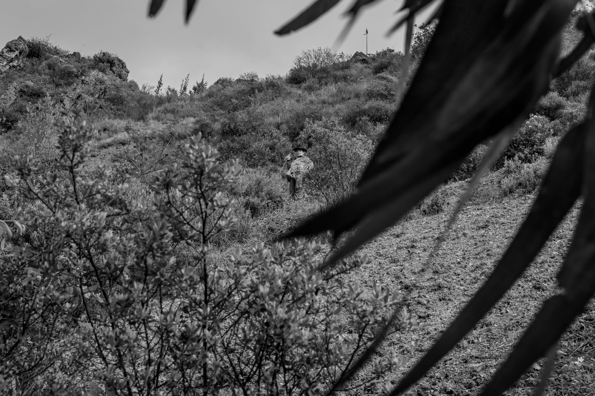 @michelphoto69_Peru_Chavin de_Huantar_Cruces-021.jpeg