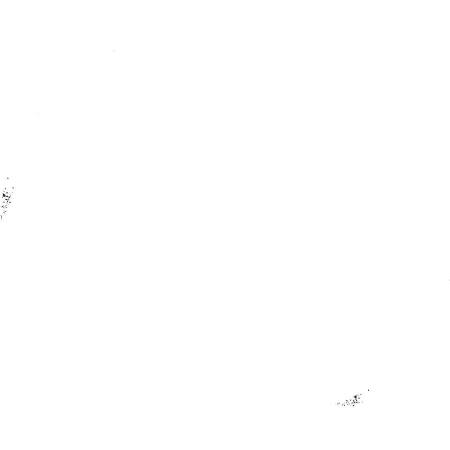 brooklyn.png