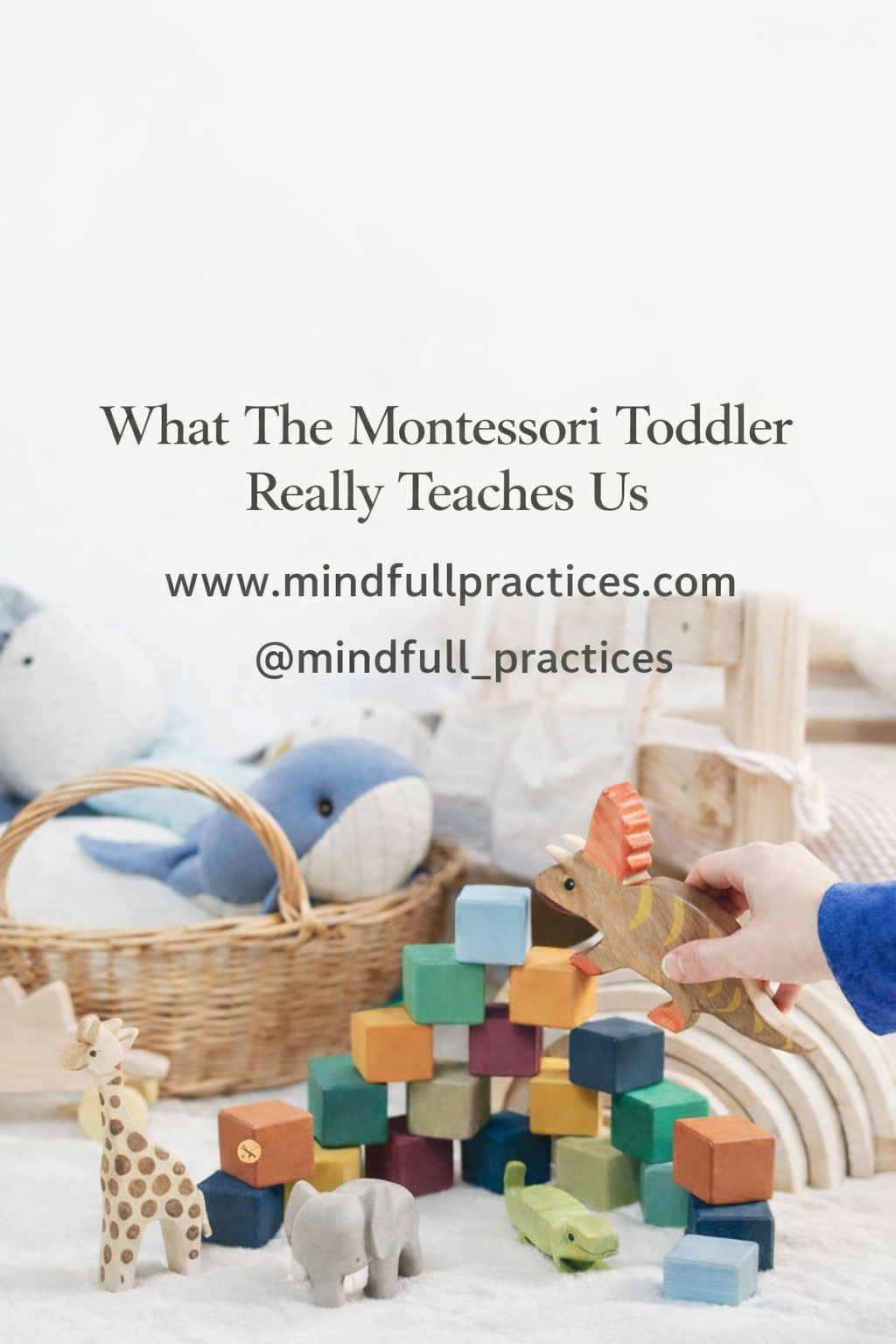 &nbsp;Shifting Our Perspective: What The Montessori Toddler Really Teaches Us