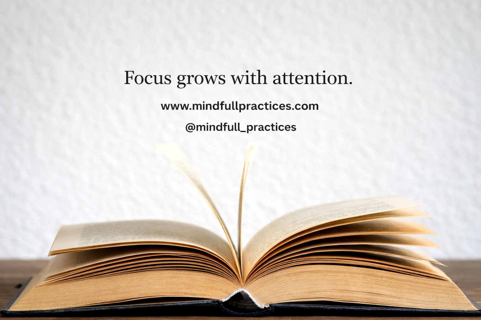 A Gentle Review of The Art of Focus by Gauranga Das