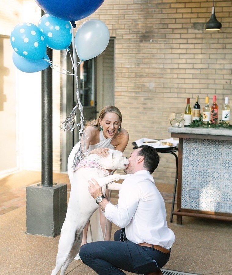 a.casa is the perfect spot to celebrate any event! Baby showers and gender reveals are some of our personal favorites. (Especially when cute pups are involved!!) 
⠀⠀⠀⠀⠀⠀⠀⠀⠀
Ask us about our new showered with love package! 🌧️

📸 @claire_forrest_film