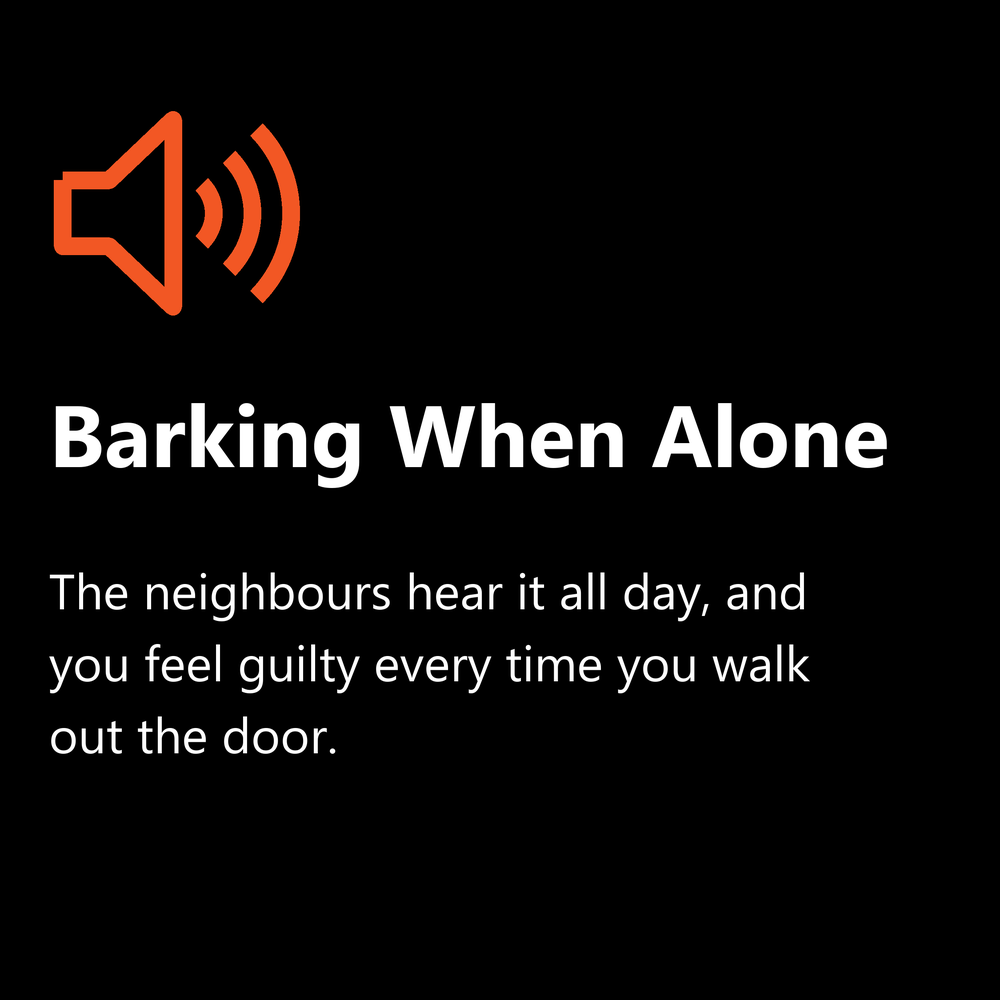 Barking when alone: dog barking all day while the owner is at work