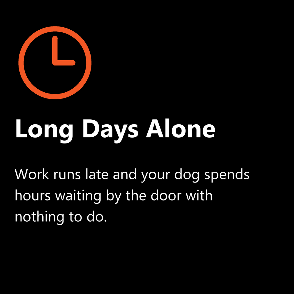 Long days alone: dog waiting at home for hours, helped by doggy daycare in Coolum Beach