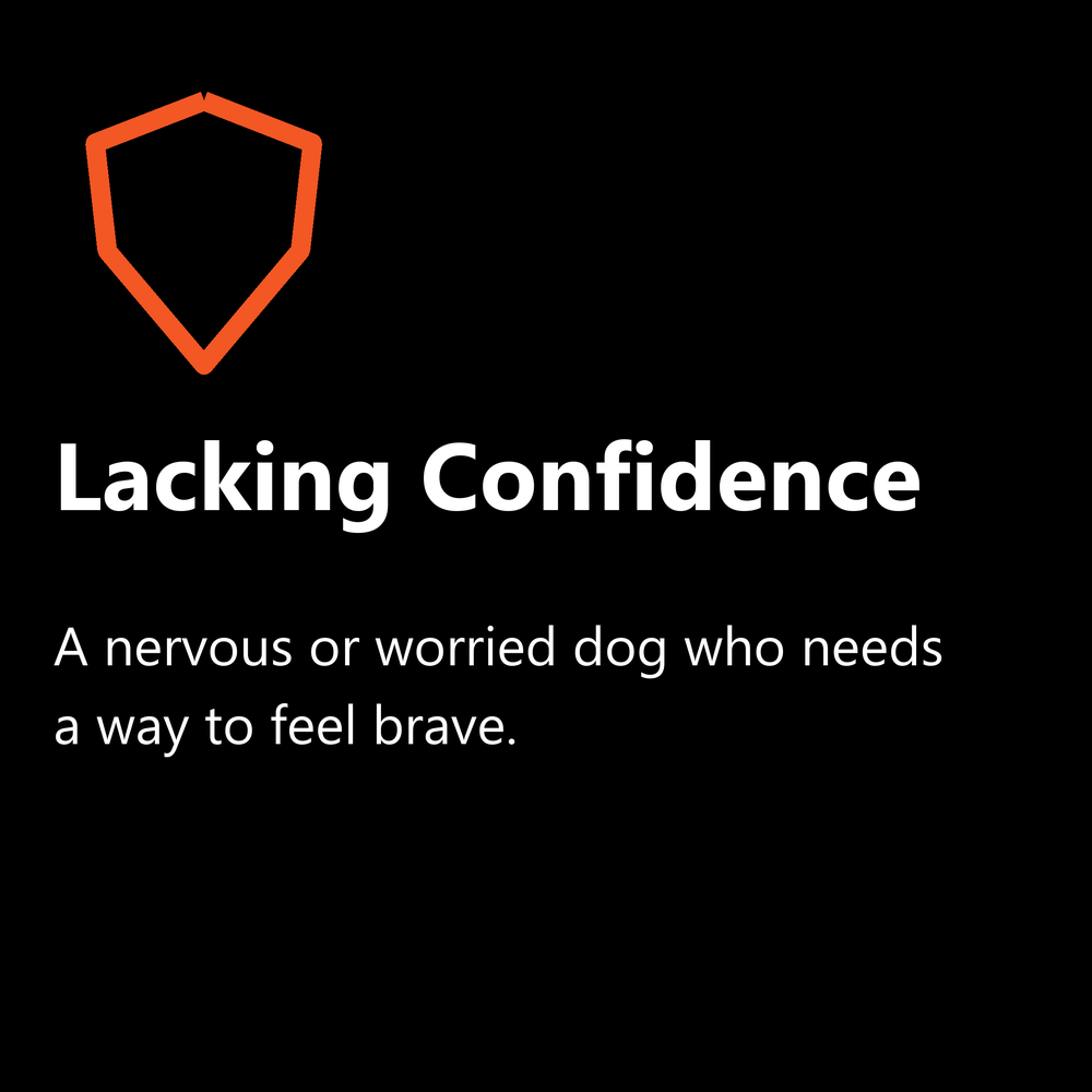 Lacking confidence: a nervous or worried dog who needs a way to feel brave