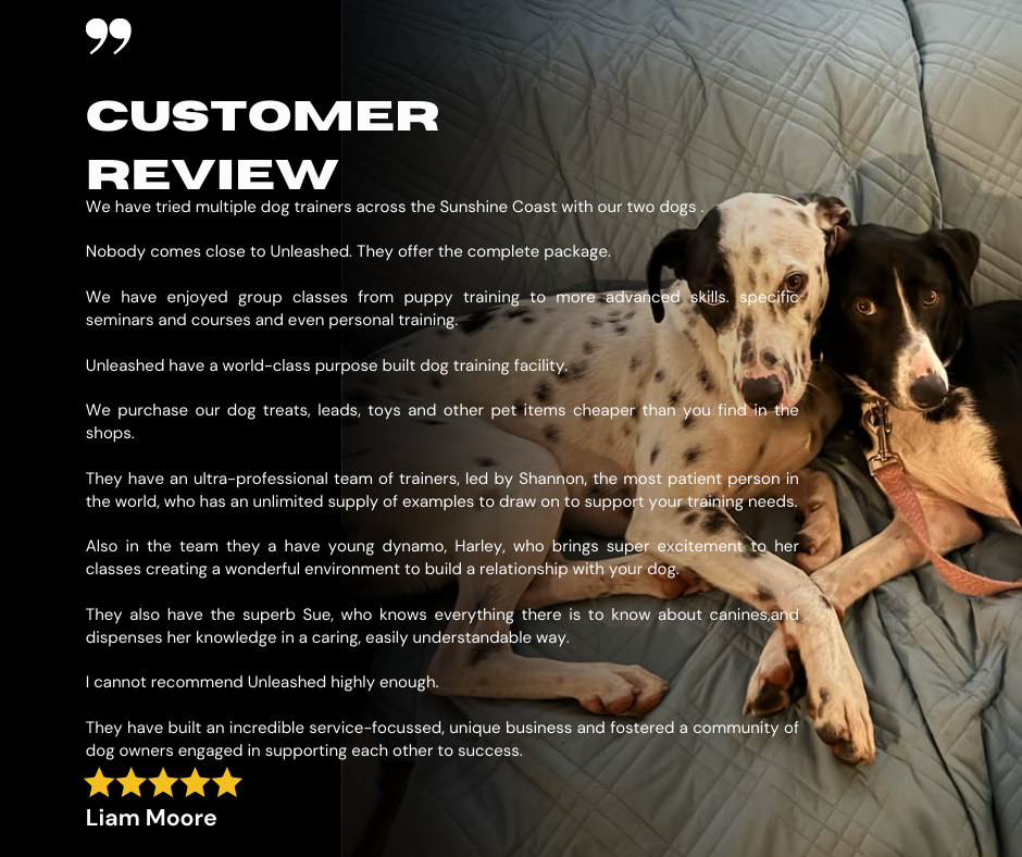 Five star review from Liam Moore about dog training classes and the Unleashed community