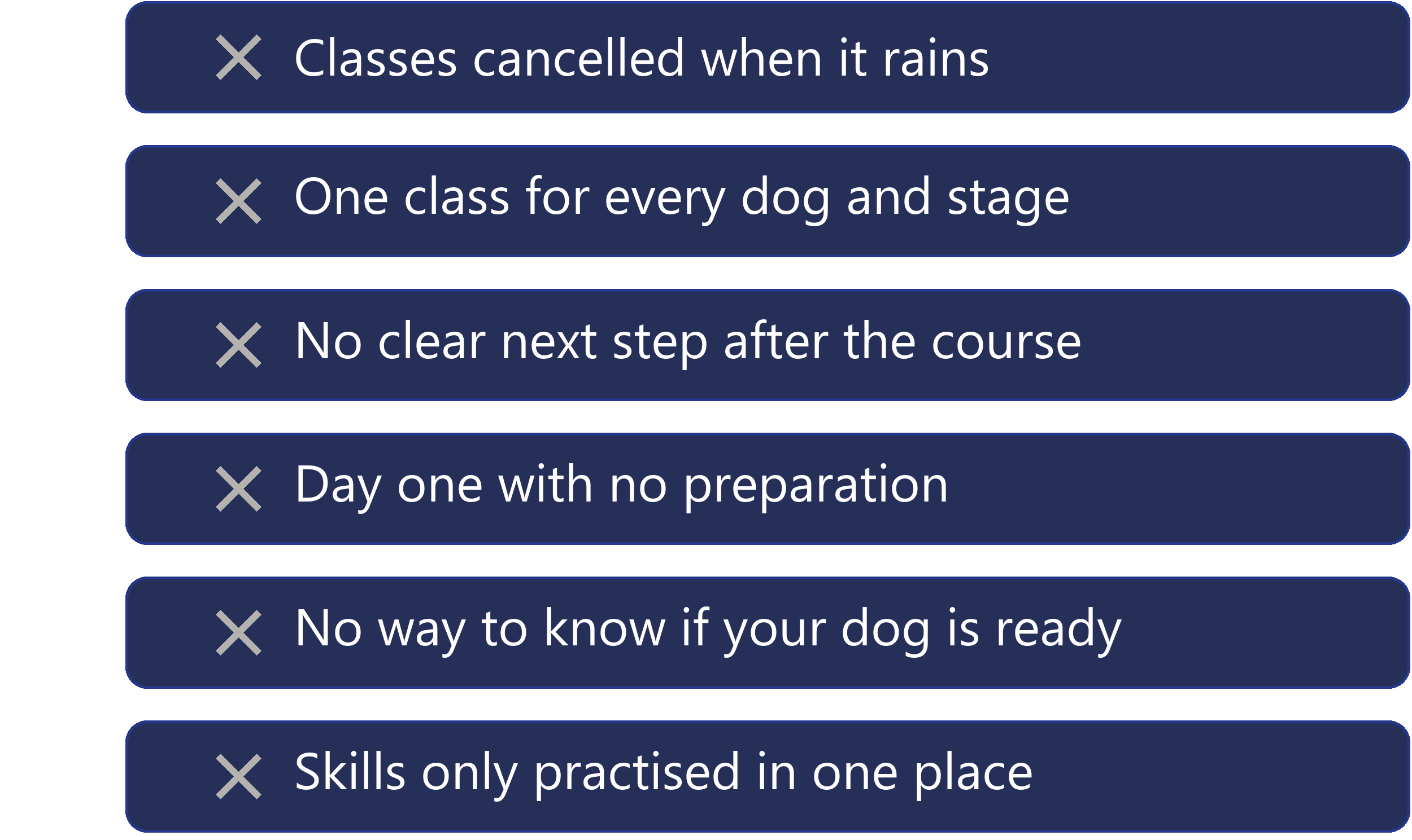 Typical dog classes: cancelled when it rains, one class for every dog, no clear next step, no preparation, no assessments, skills practised in one place