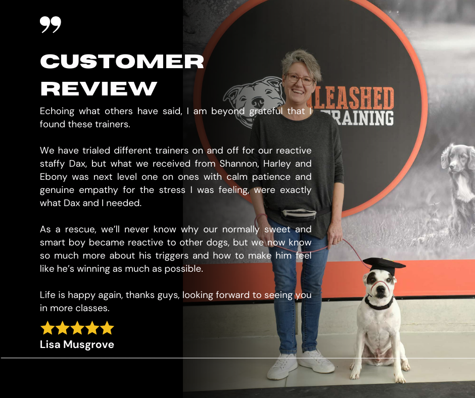 Five star review from Lisa Musgrove about private training for her reactive rescue dog