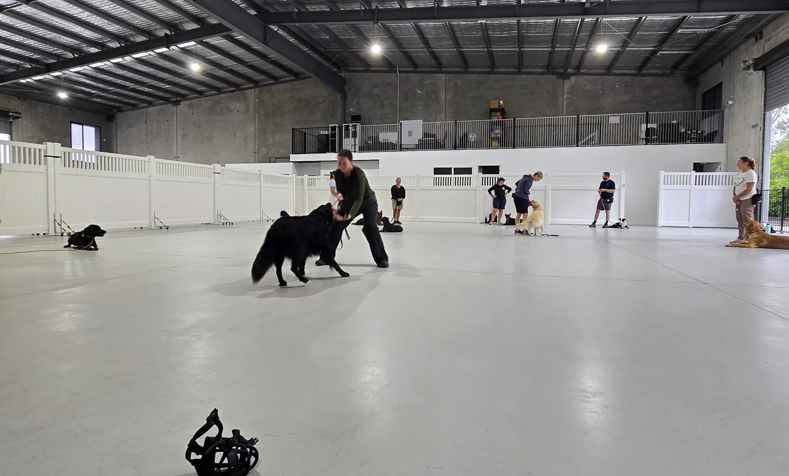 Dog and handler training together during an advanced class at the Unleashed indoor training centre in Coolum Beach