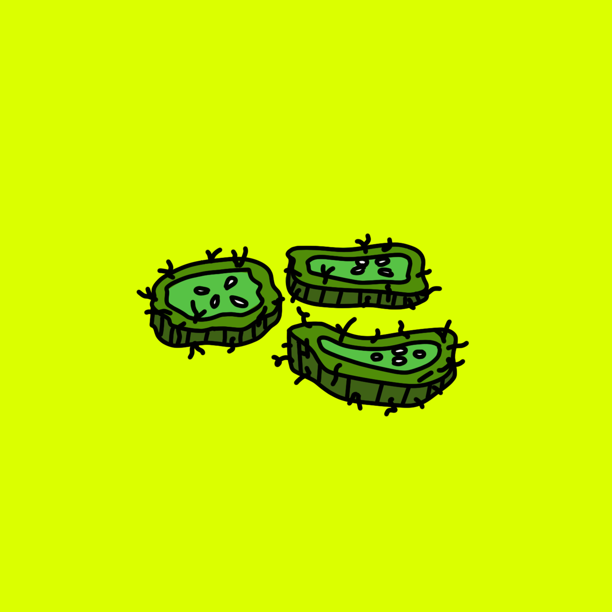 hairy picklesbg sq.png