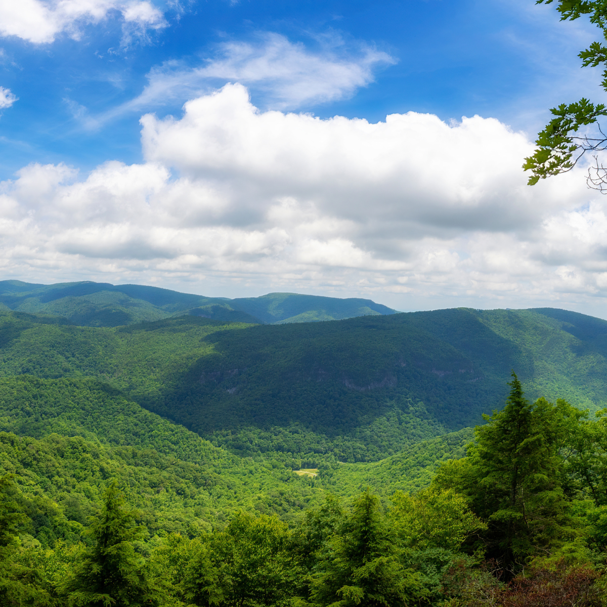 Events — Blue Ridge Pathway