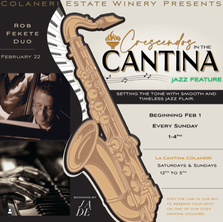 Crescendos in the Cantina - Rob Fekete Duo