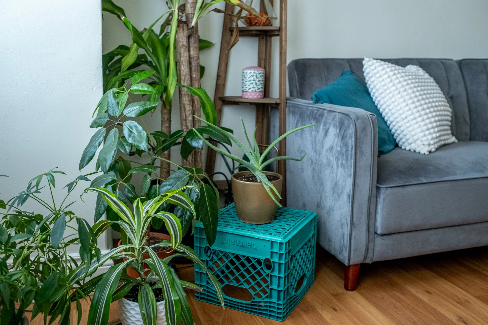 25.10.30 25.06.01 Pasky Studio Gallery-24.jpg