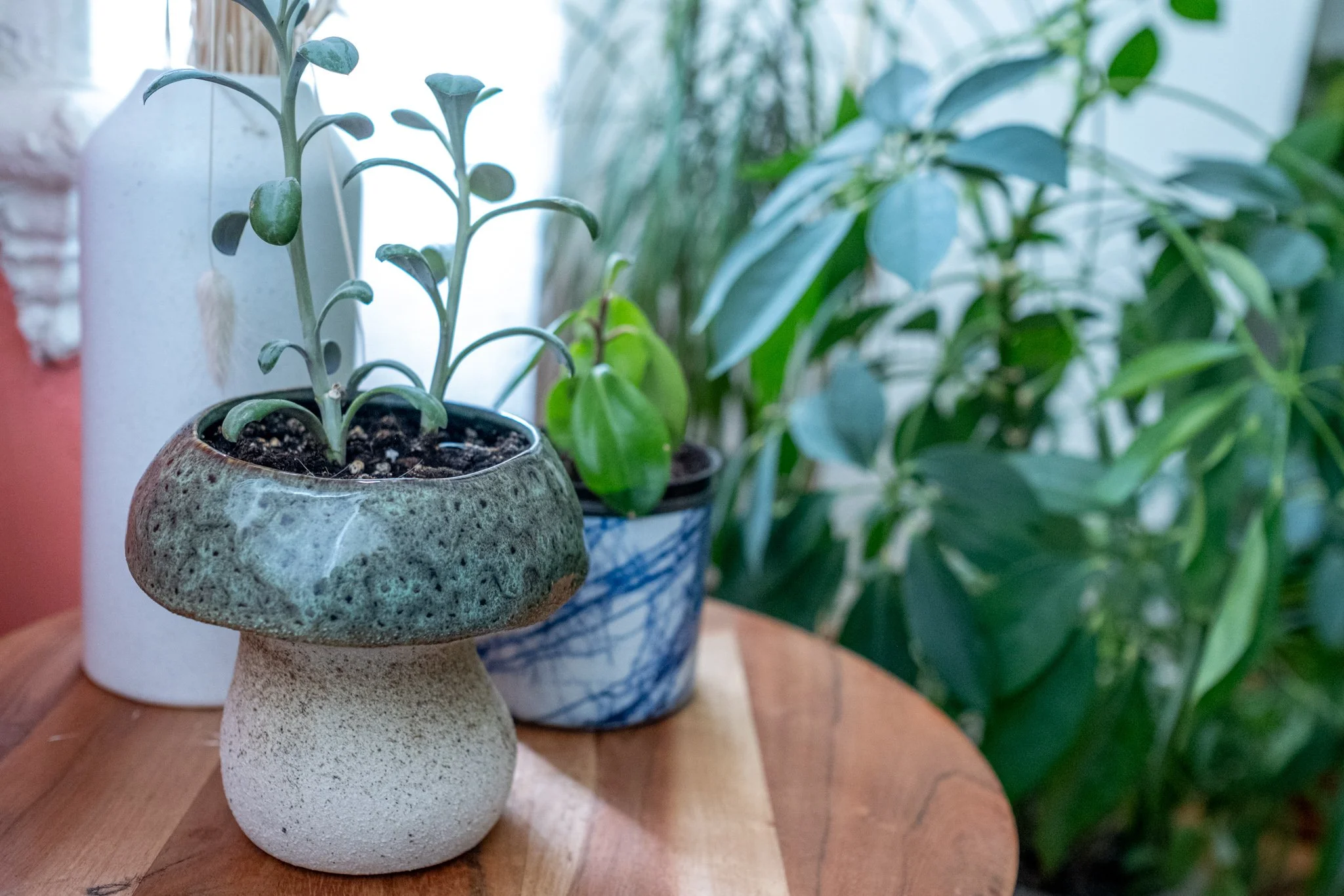 25.10.30 25.06.01 Pasky Studio Gallery-22.jpg