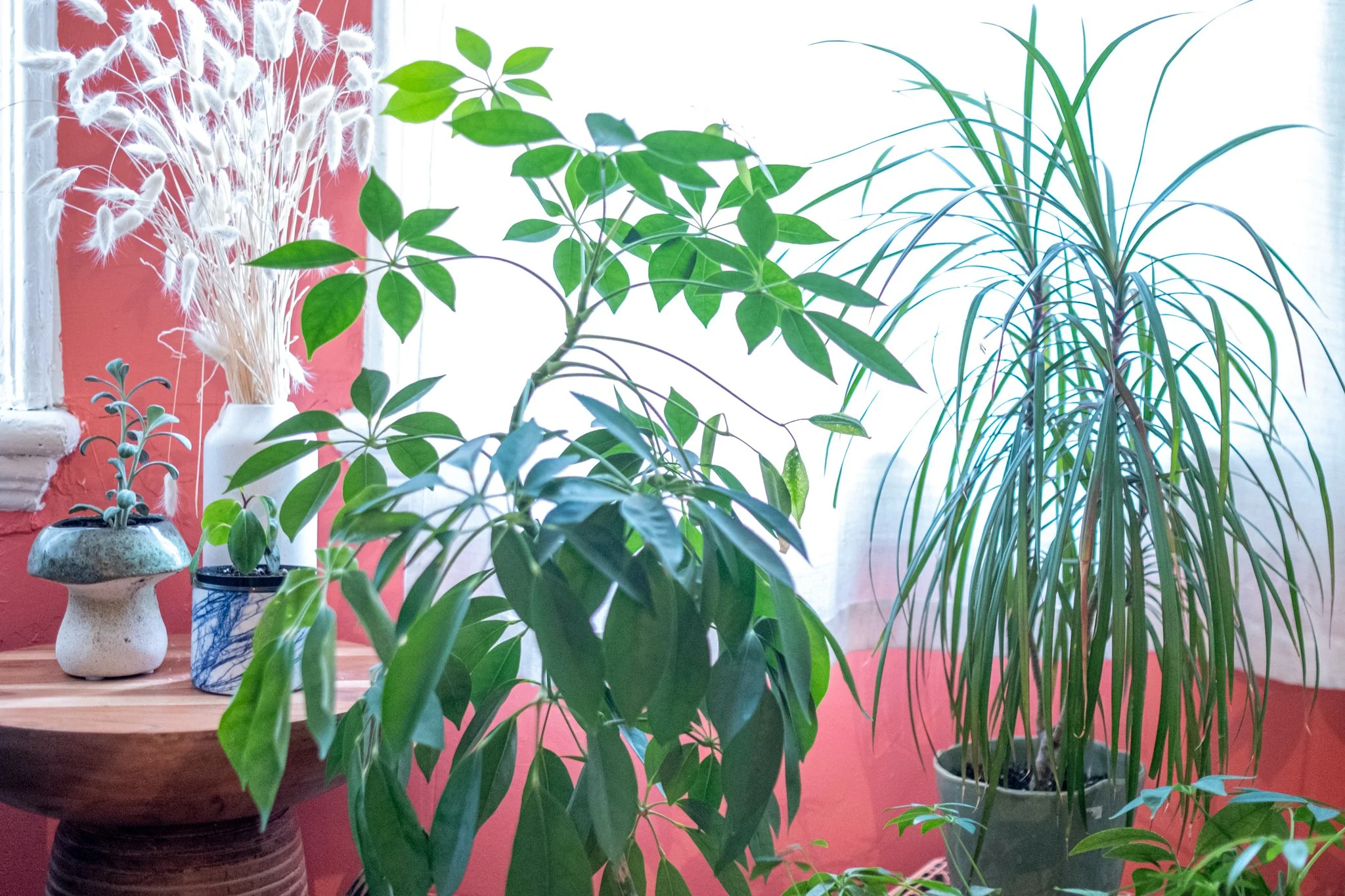 25.10.30 25.06.01 Pasky Studio Gallery-6.jpg