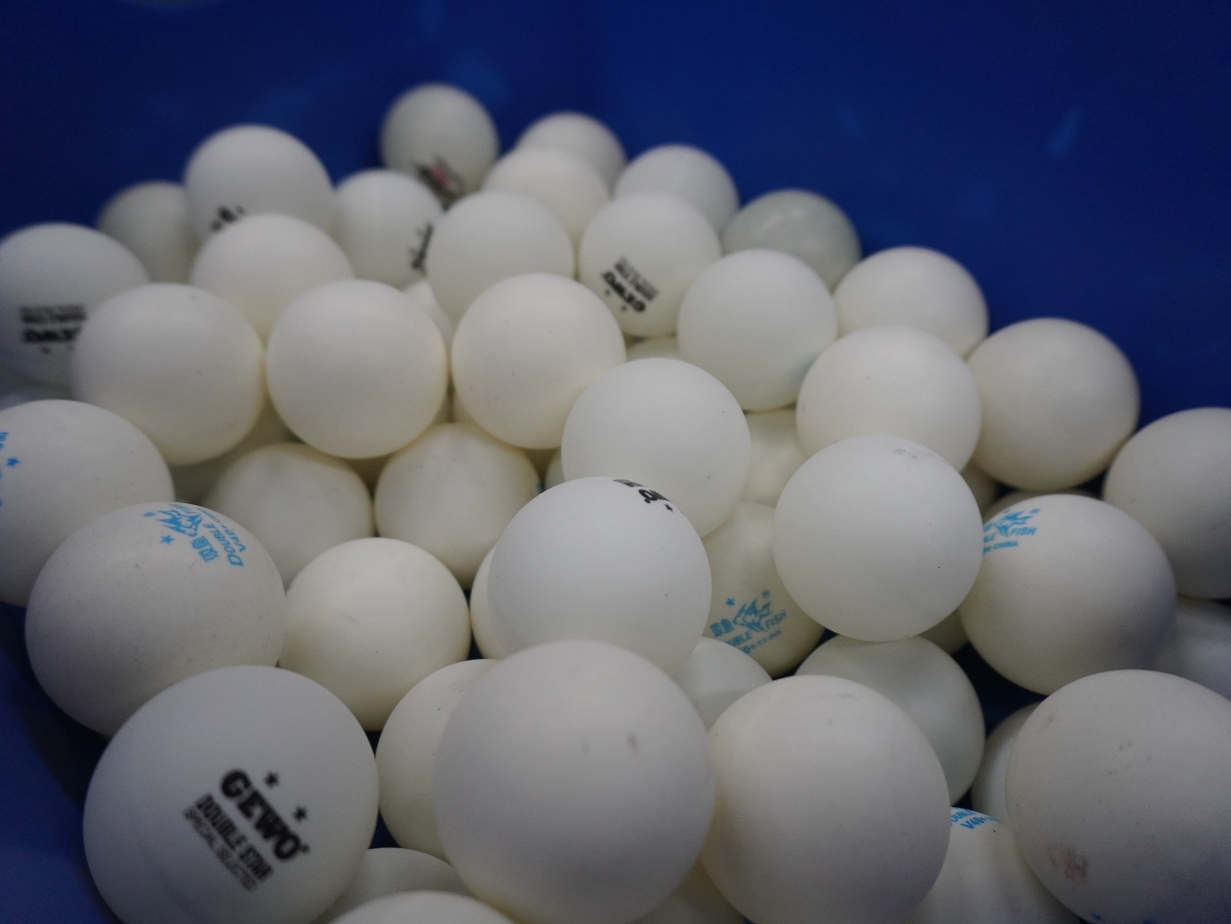 Kleine Ballkunde (1)
