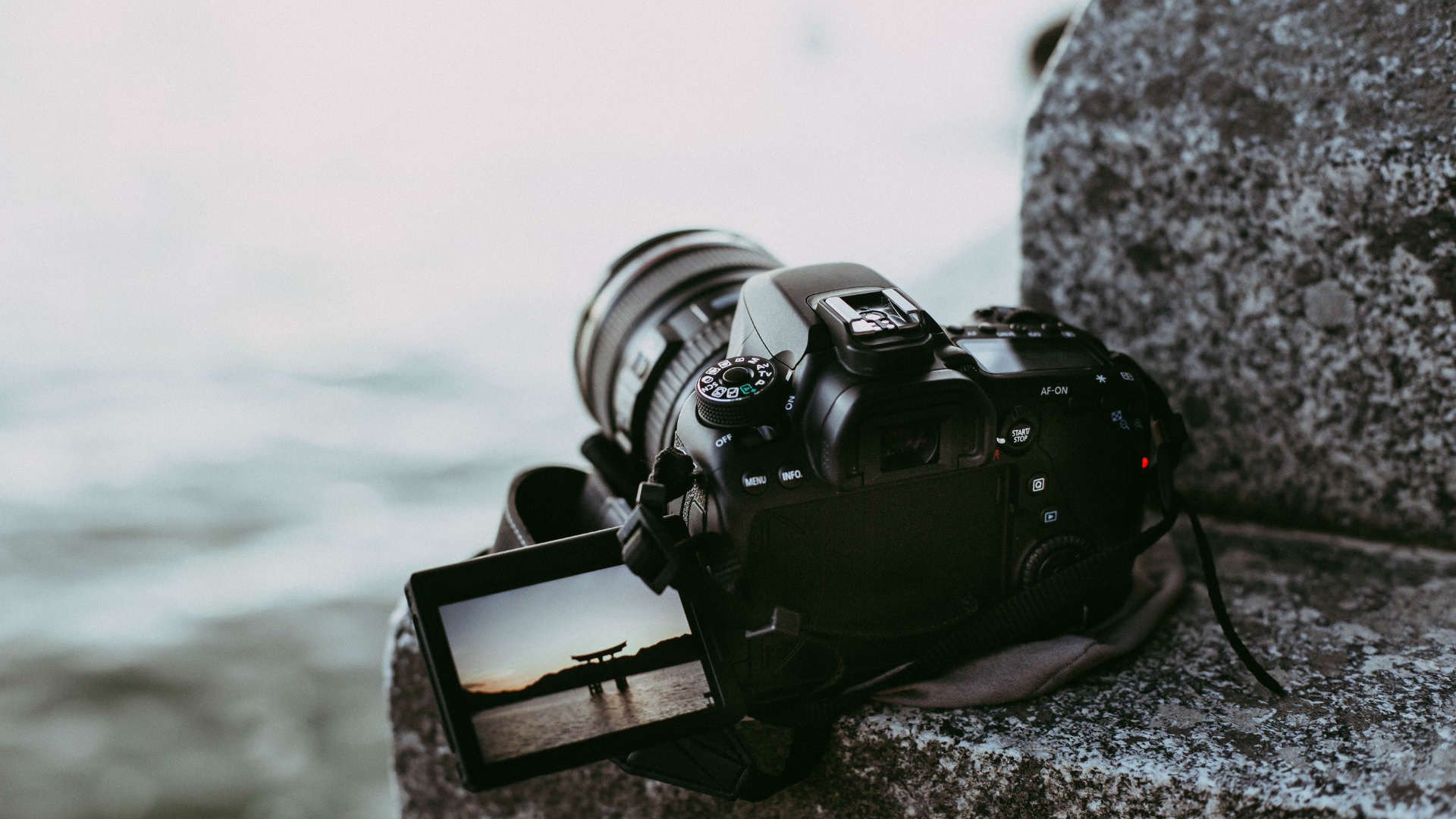 10 Research-Backed Photography Habits That Actually Work (No Gear Required)